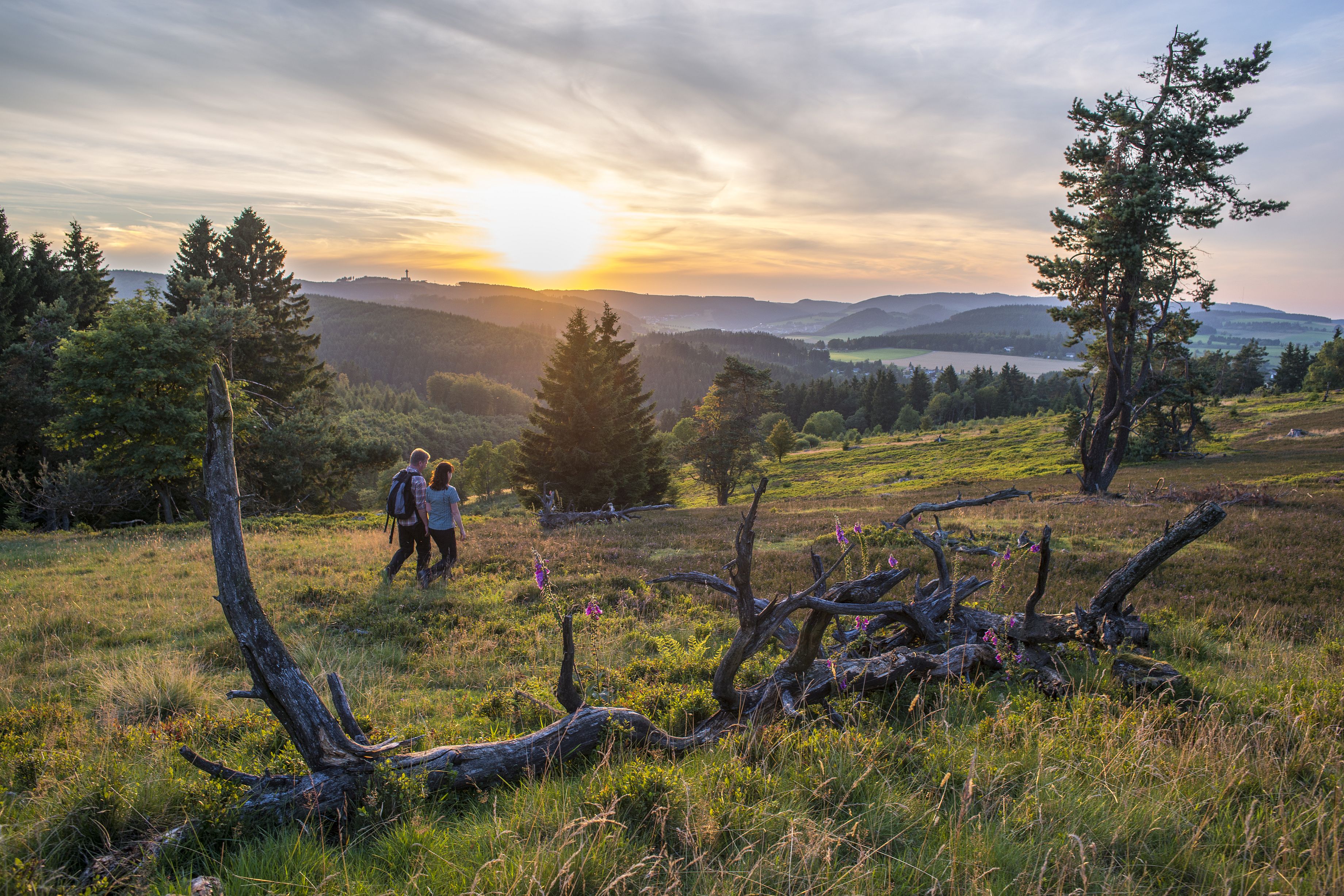 Naturerlebnis Sauerland