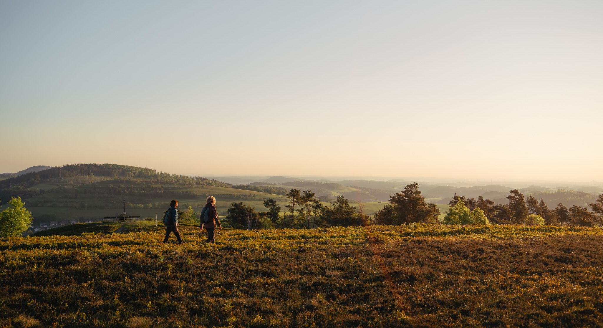 Wandern auf der Hochheide bei Willingen