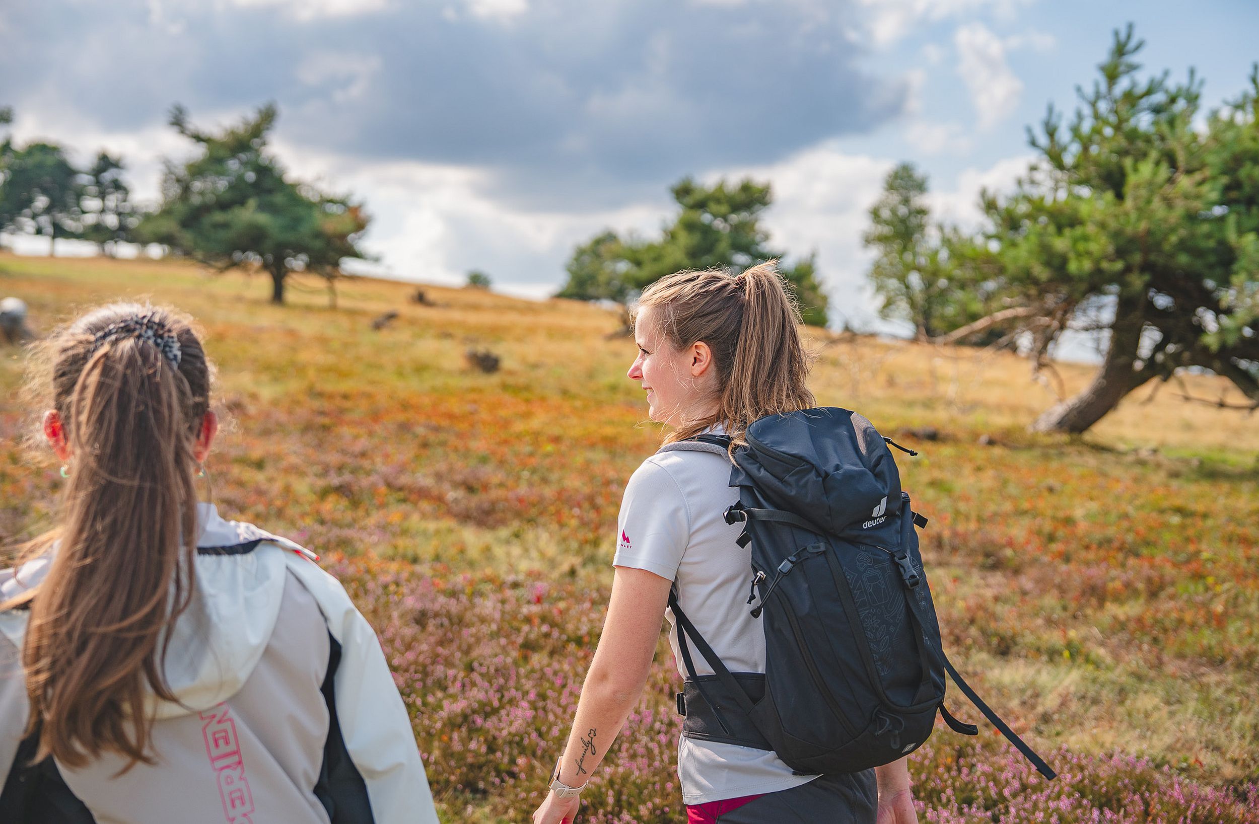 Wandergruppe in der Heide bei Willingen