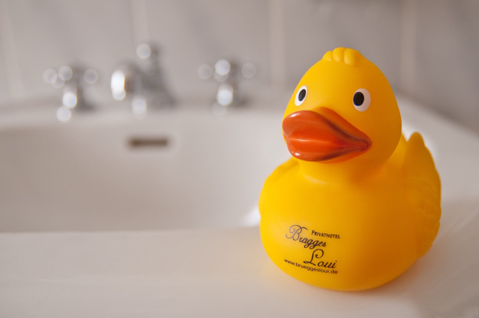 Brügges Loui Ente