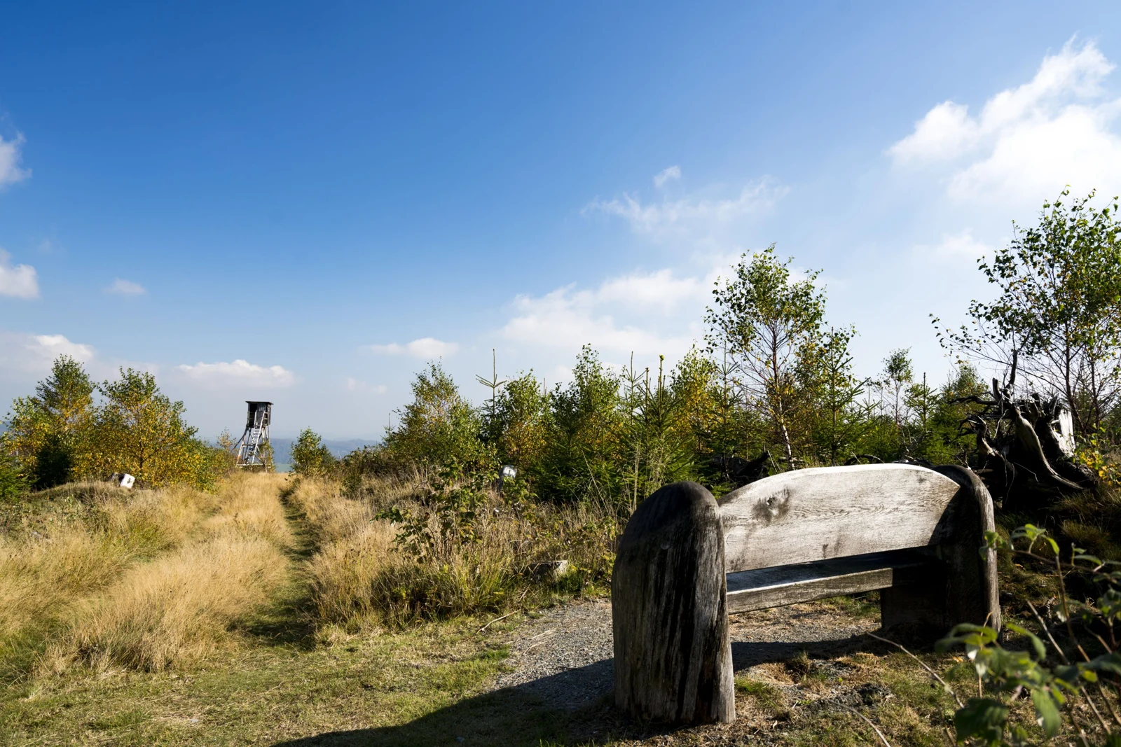 Ausblick im Sauerland